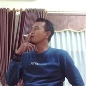 Chum vàng