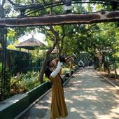 Đội bóng bầu dụ