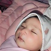Khu Rừng Vui Nh