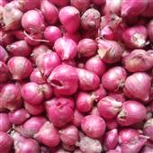 Kết quả bón