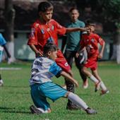 Các đội vô 
