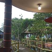 Mê sảng Di động