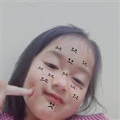 Rừng Nhiệt Đới 