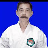 Giải vô địch bó