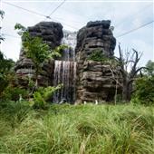 Ngọn lửa rực ch