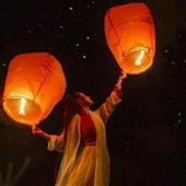 Mèo Tài Tầm Bảo