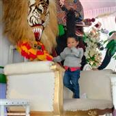 Các giải đấ