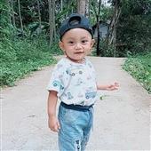 Các đội bón