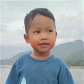 Chim Và Thú