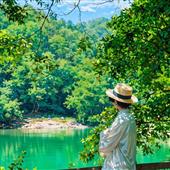 5 Linh vật