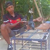 Đánh bài online