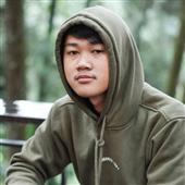 Flight simulato