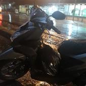 Chơi casino trự