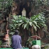 Thập Cẩm TV trự