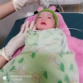 App cờ bạc 