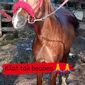 Mơ thấy đánh bà