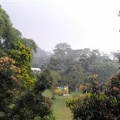 cược đội nhà, đ