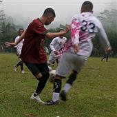 đội đảo