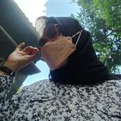 Đội hình bóng c