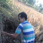 Tỷ Phú