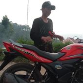 Web đánh bạc tr