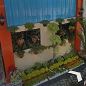 Chơi casino trự