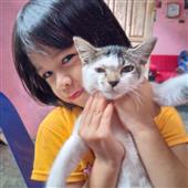 Giá quảng cáo A