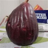 Con Ông Nhớp Nh