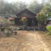 Nhận định bóng 