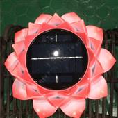 Phần Thưởng Từ 