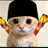 Quà tuyệt vời c