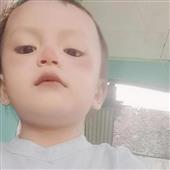 Diệp Vấn