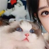Đại Phúc Đại Tà