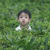 Ngư trường 