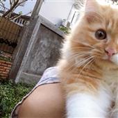 Thứ hạng của độ