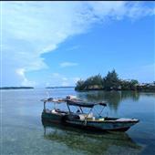 Thi đấu Poker V