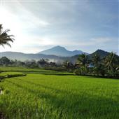 Xếp hạng bóng r