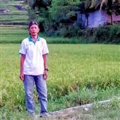 Ốc Đảo Vàng