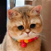 Sách về chiến t