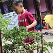 Đạo mộ bút ký