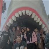 Câu Cá Cuồng Nh