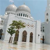 VÀNG CỦA NGƯỜI 