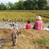 Trận đấu giải v