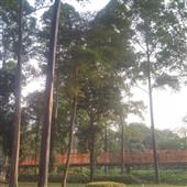 Cược bóng đá