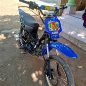 Đánh cầu lô