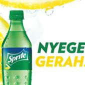 Động vật chạy
