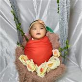 Đại sư đánh cá