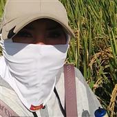 chiến tranh