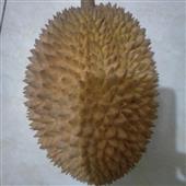 Tỷ số bóng đá h