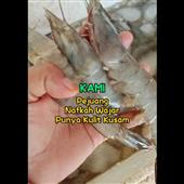 Cách cá cược LO